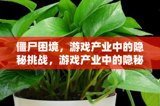 僵尸困境,游戏产业中的隐秘挑战,游戏产业中的隐秘挑战,僵尸困境 僵尸困境,游戏产业中的隐秘挑战,游戏产业中的隐秘挑战,僵尸困境