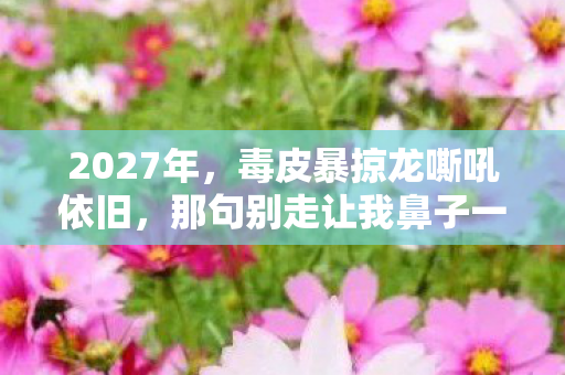 2027年，毒皮暴掠龙嘶吼依旧，那句别走让我鼻子一酸