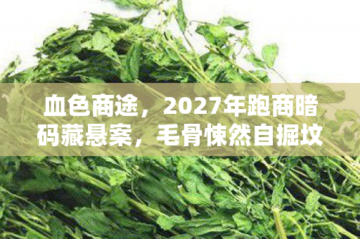 血色商途,2027年跑商暗码藏悬案,毛骨悚然自掘坟墓 血色商途,2027年跑商暗码藏悬案,毛骨悚然自掘坟墓