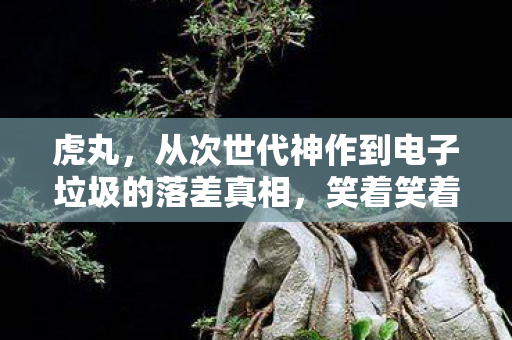 虎丸,从次世代神作到电子垃圾的落差真相,笑着笑着就哭了 虎丸,从次世代神作到电子垃圾的落差真相,笑着笑着就哭了