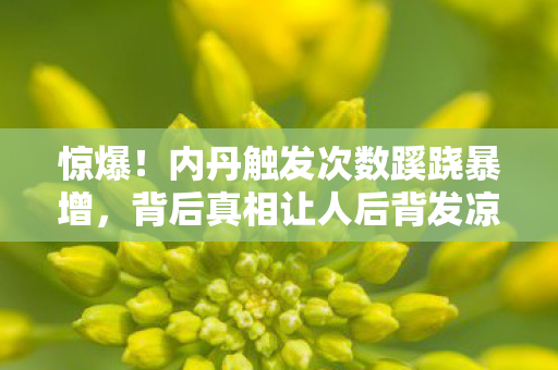 惊爆!内丹触发次数蹊跷暴增,背后真相让人后背发凉! 惊爆!内丹触发次数蹊跷暴增,背后真相让人后背发凉!
