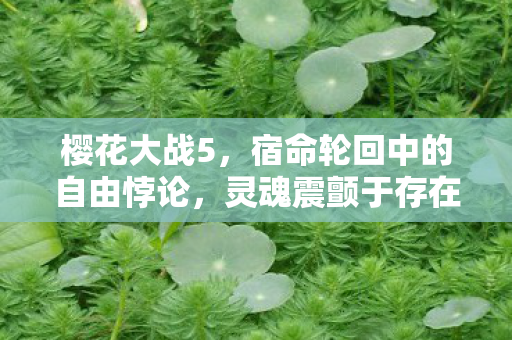 樱花大战5,宿命轮回中的自由悖论,灵魂震颤于存在之审判 樱花大战5,宿命轮回中的自由悖论,灵魂震颤于存在之审判