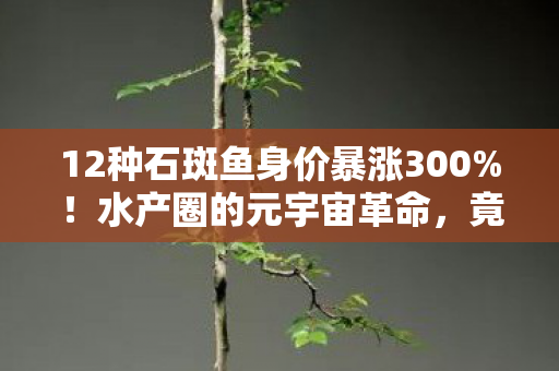 12种石斑鱼身价暴涨300%!水产圈的元宇宙革命,竟藏着游戏产业的财富密码? 12种石斑鱼身价暴涨300%!水产圈的元宇宙革命,竟藏着游戏产业的财富密码?