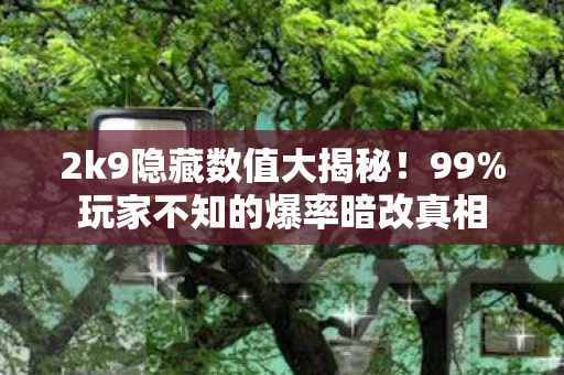 2k9隐藏数值大揭秘!99%玩家不知的爆率暗改真相 2k9隐藏数值大揭秘!99%玩家不知的爆率暗改真相