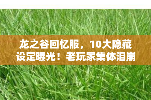 龙之谷回忆服,10大隐藏设定曝光!老玩家集体泪崩的真相竟是…… 龙之谷回忆服,10大隐藏设定曝光!老玩家集体泪崩的真相竟是……