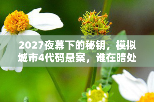 2027夜幕下的秘钥,模拟城市4代码悬案,谁在暗处操控生死? 2027夜幕下的秘钥,模拟城市4代码悬案,谁在暗处操控生死?
