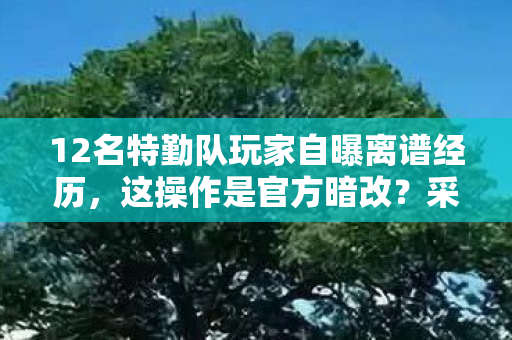 12名特勤队玩家自曝离谱经历,这操作是官方暗改?采访组听完集体绷不住! 12名特勤队玩家自曝离谱经历,这操作是官方暗改?采访组听完集体绷不住!