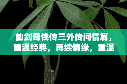 仙剑奇侠传三外传问情篇,重温经典,再续情缘,重温经典再续情缘,仙剑奇侠传三外传问情篇 仙剑奇侠传三外传问情篇,重温经典,再续情缘,重温经典再续情缘,仙剑奇侠传三外传问情篇