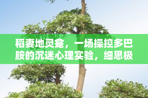 稻妻地灵龛,一场操控多巴胺的沉迷心理实验,细思极恐! 稻妻地灵龛,一场操控多巴胺的沉迷心理实验,细思极恐!