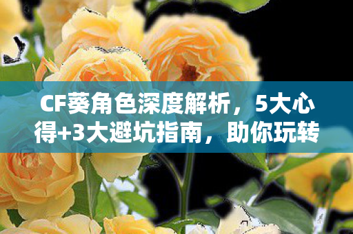 CF葵角色深度解析，5大心得+3大避坑指南，助你玩转战场！