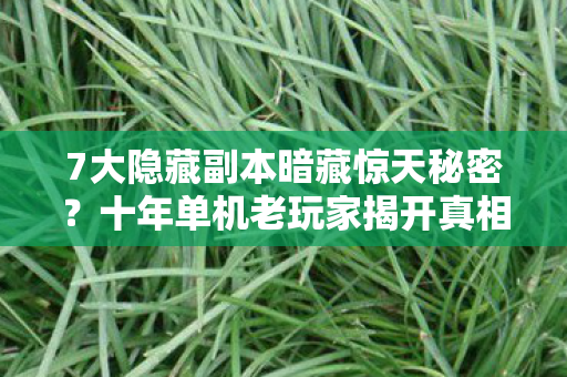 7大隐藏副本暗藏惊天秘密?十年单机老玩家揭开真相! 7大隐藏副本暗藏惊天秘密?十年单机老玩家揭开真相!