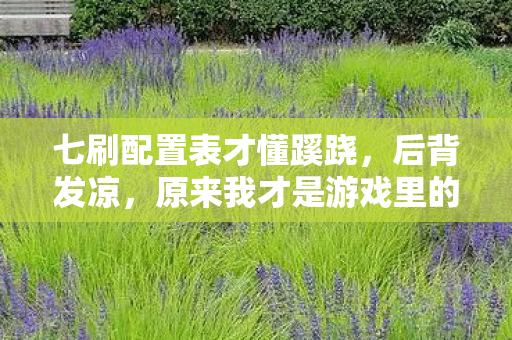 七刷配置表才懂蹊跷,后背发凉,原来我才是游戏里的NPC 七刷配置表才懂蹊跷,后背发凉,原来我才是游戏里的NPC