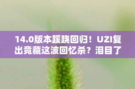 14.0版本蹊跷回归!UZI复出竟藏这波回忆杀?泪目了! 14.0版本蹊跷回归!UZI复出竟藏这波回忆杀?泪目了!