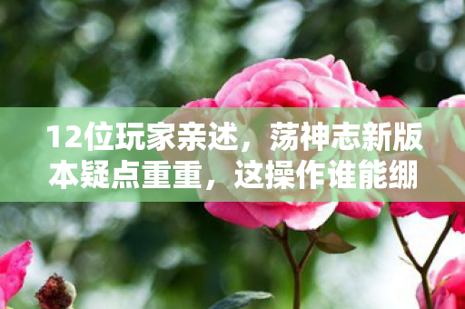 12位玩家亲述,荡神志新版本疑点重重,这操作谁能绷得住? 12位玩家亲述,荡神志新版本疑点重重,这操作谁能绷得住?