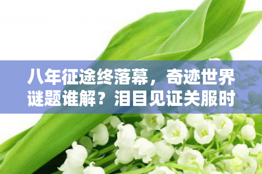 八年征途终落幕，奇迹世界谜题谁解？泪目见证关服时刻！