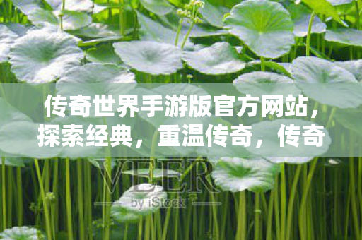 传奇世界手游版官方网站,探索经典,重温传奇,传奇世界手游版,重温经典,探索传奇之旅 传奇世界手游版官方网站,探索经典,重温传奇,传奇世界手游版,重温经典,探索传奇之旅