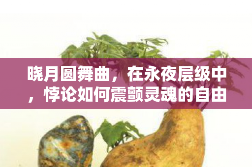 晓月圆舞曲，在永夜层级中，悖论如何震颤灵魂的自由之弦
