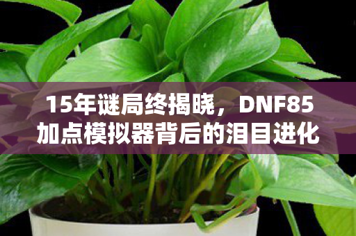 15年谜局终揭晓,DNF85加点模拟器背后的泪目进化史 15年谜局终揭晓,DNF85加点模拟器背后的泪目进化史
