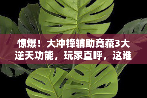 惊爆!大冲锋辅助竟藏3大逆天功能,玩家直呼,这谁顶得住! 惊爆!大冲锋辅助竟藏3大逆天功能,玩家直呼,这谁顶得住!