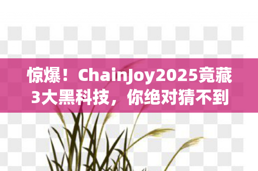 惊爆!ChainJoy2025竟藏3大黑科技,你绝对猜不到第3个! 惊爆!ChainJoy2025竟藏3大黑科技,你绝对猜不到第3个!