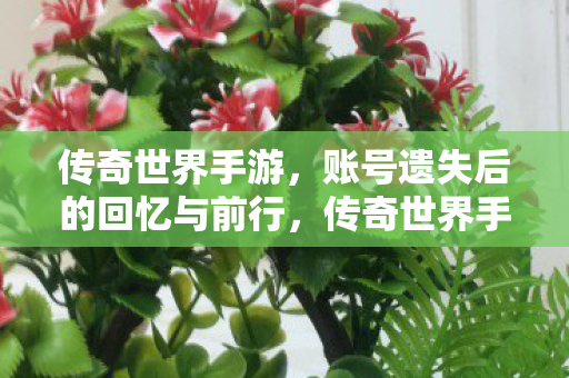 传奇世界手游，账号遗失后的回忆与前行，传奇世界手游，账号遗失后的回忆与前行之路