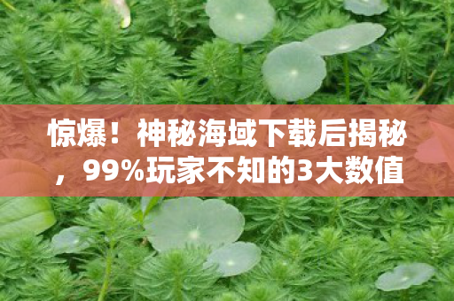 惊爆!神秘海域下载后揭秘,99%玩家不知的3大数值暗坑 惊爆!神秘海域下载后揭秘,99%玩家不知的3大数值暗坑