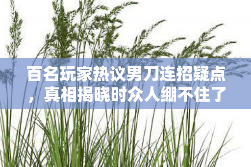 百名玩家热议男刀连招疑点，真相揭晓时众人绷不住了！