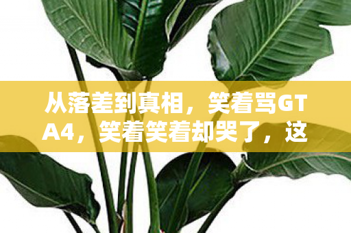 从落差到真相,笑着骂GTA4,笑着笑着却哭了,这该死的沉迷! 从落差到真相,笑着骂GTA4,笑着笑着却哭了,这该死的沉迷!