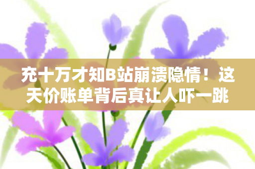 充十万才知B站崩溃隐情!这天价账单背后真让人吓一跳! 充十万才知B站崩溃隐情!这天价账单背后真让人吓一跳!