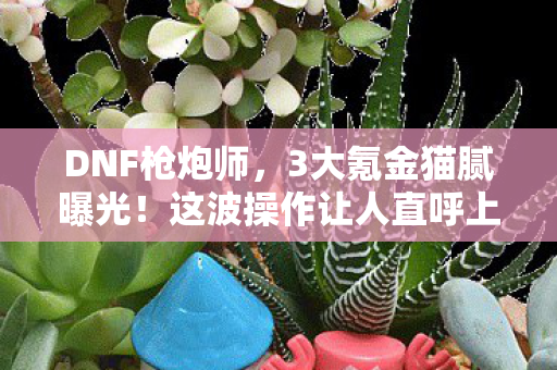 DNF枪炮师,3大氪金猫腻曝光!这波操作让人直呼上头到想退游 DNF枪炮师,3大氪金猫腻曝光!这波操作让人直呼上头到想退游