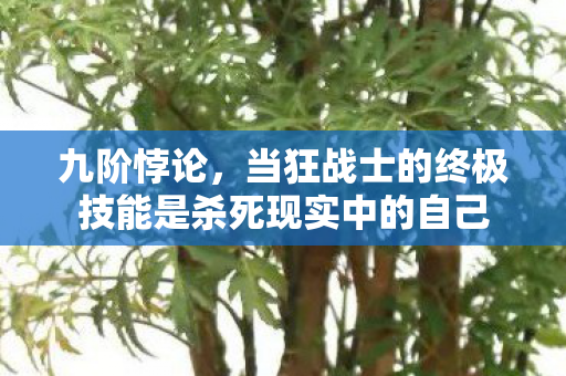 九阶悖论,当狂战士的终极技能是杀死现实中的自己 九阶悖论,当狂战士的终极技能是杀死现实中的自己