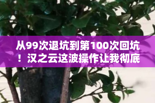 从99次退坑到第100次回坑！汉之云这波操作让我彻底破防了
