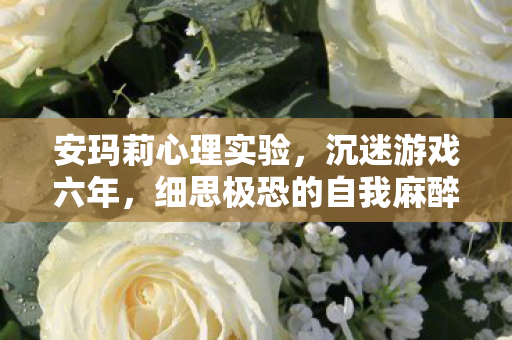 安玛莉心理实验，沉迷游戏六年，细思极恐的自我麻醉真相