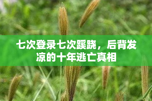 后背发凉的十年逃亡真相图片