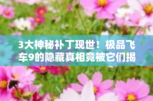 3大神秘补丁现世!极品飞车9的隐藏真相竟被它们揭开? 3大神秘补丁现世!极品飞车9的隐藏真相竟被它们揭开?