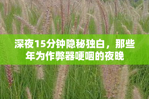 深夜15分钟隐秘独白,那些年为作弊器哽咽的夜晚 深夜15分钟隐秘独白,那些年为作弊器哽咽的夜晚