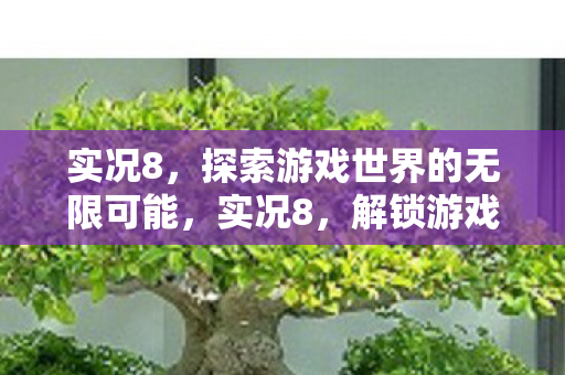 实况8，探索游戏世界的无限可能，实况8，解锁游戏世界的无限可能