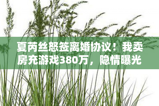 夏芮丝怒签离婚协议!我卖房充游戏380万,隐情曝光吓你一跳! 夏芮丝怒签离婚协议!我卖房充游戏380万,隐情曝光吓你一跳!
