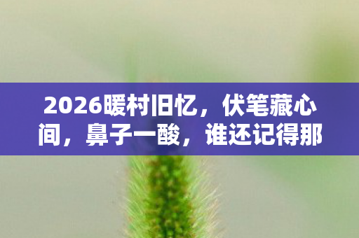 2026暖村旧忆,伏笔藏心间,鼻子一酸,谁还记得那年猫影? 2026暖村旧忆,伏笔藏心间,鼻子一酸,谁还记得那年猫影?