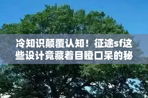 冷知识颠覆认知!征途sf这些设计竟藏着目瞪口呆的秘密 冷知识颠覆认知!征途sf这些设计竟藏着目瞪口呆的秘密