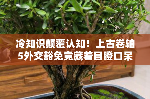 冷知识颠覆认知!上古卷轴5外交豁免竟藏着目瞪口呆的真相 冷知识颠覆认知!上古卷轴5外交豁免竟藏着目瞪口呆的真相