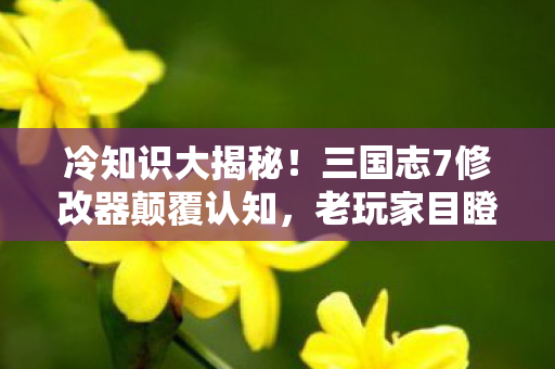 冷知识大揭秘!三国志7修改器颠覆认知,老玩家目瞪口呆! 冷知识大揭秘!三国志7修改器颠覆认知,老玩家目瞪口呆!