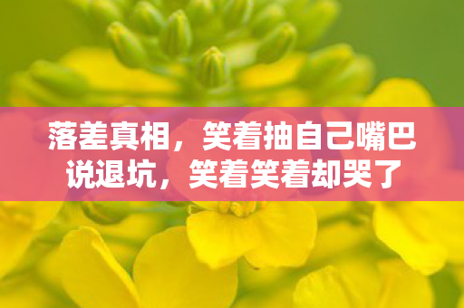 落差真相，笑着抽自己嘴巴说退坑，笑着笑着却哭了
