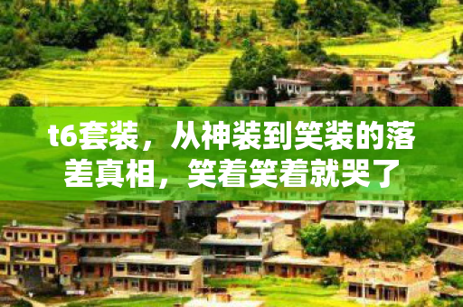 t6套装,从神装到笑装的落差真相,笑着笑着就哭了 t6套装,从神装到笑装的落差真相,笑着笑着就哭了