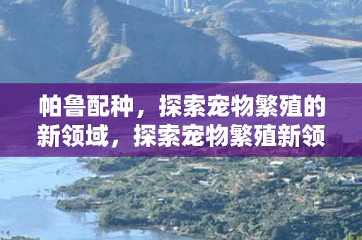 帕鲁配种，探索宠物繁殖的新领域，探索宠物繁殖新领域，帕鲁配种