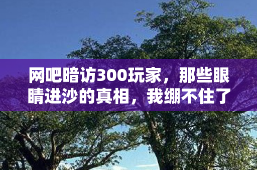 网吧暗访300玩家,那些眼睛进沙的真相,我绷不住了! 网吧暗访300玩家,那些眼睛进沙的真相,我绷不住了!