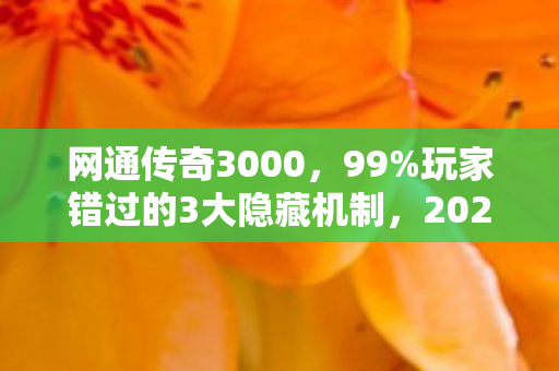网通传奇3000,99%玩家错过的3大隐藏机制,2027年再不体验就彻底落后! 网通传奇3000,99%玩家错过的3大隐藏机制,2027年再不体验就彻底落后!