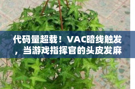 代码量超载!VAC暗线触发,当游戏指挥官的头皮发麻时刻 代码量超载!VAC暗线触发,当游戏指挥官的头皮发麻时刻