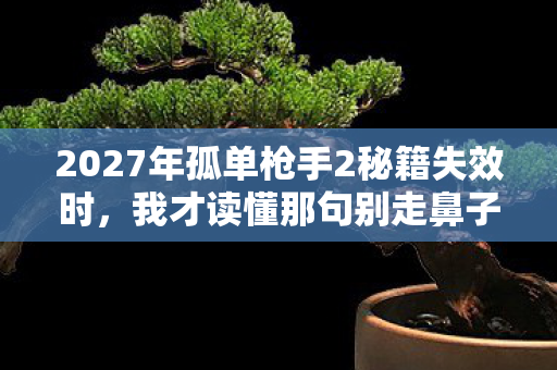 2027年孤单枪手2秘籍失效时，我才读懂那句别走鼻子一酸