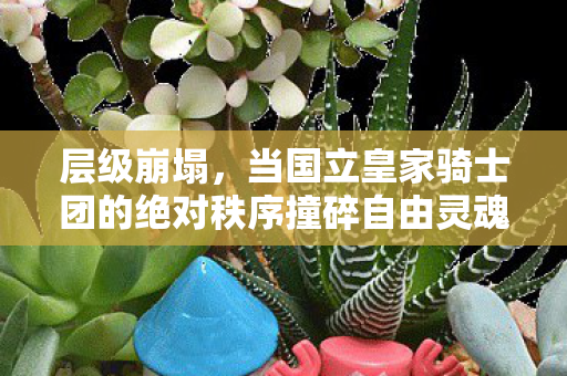 层级崩塌,当国立皇家骑士团的绝对秩序撞碎自由灵魂的悖论审判 层级崩塌,当国立皇家骑士团的绝对秩序撞碎自由灵魂的悖论审判